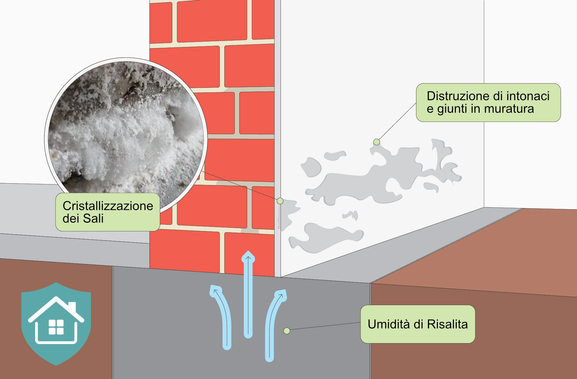 Grafico schematizzato Muffa Specialist per illustrare le problematiche di umidità di risalita, danni alle pareti e comparsa di Salnitro.