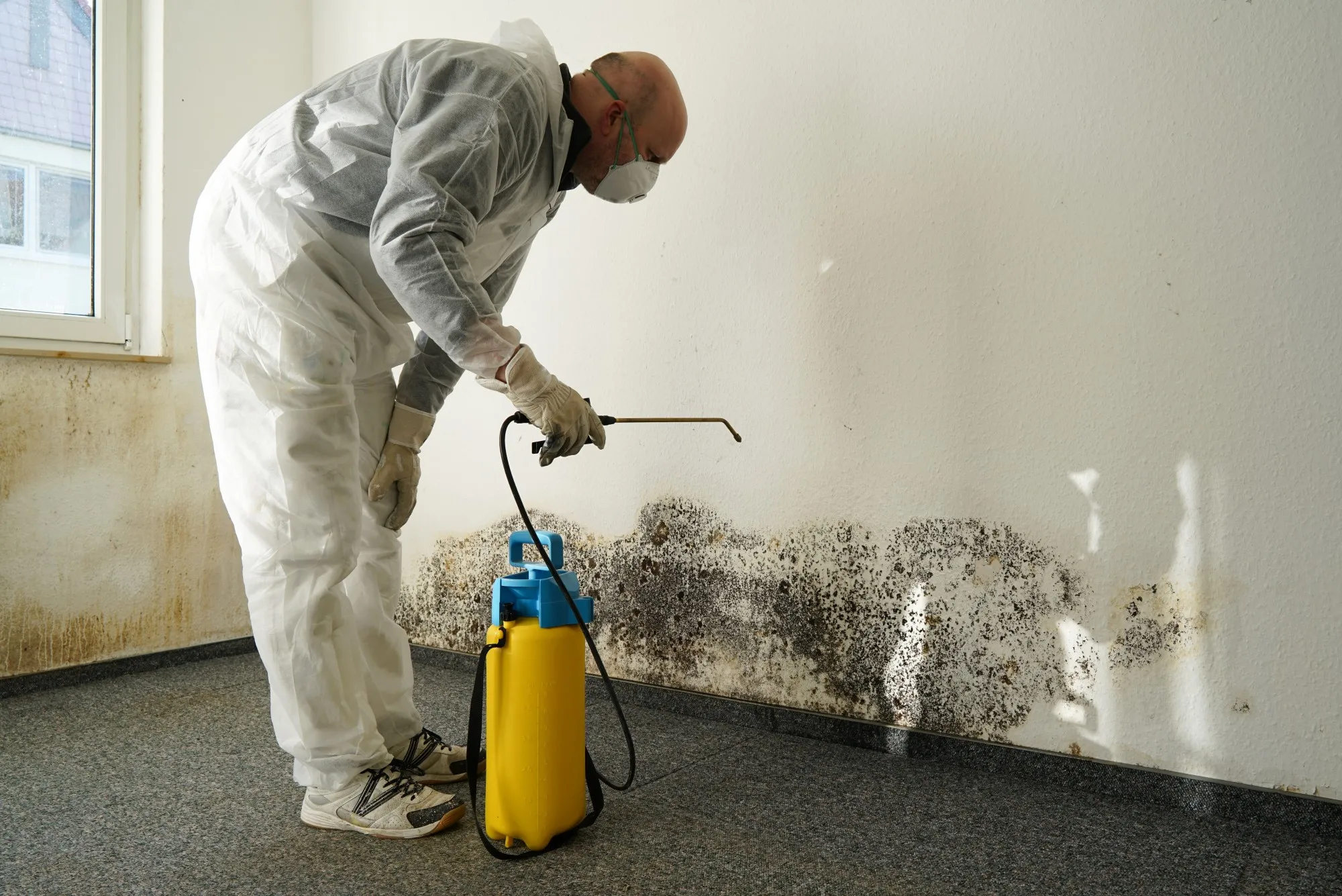 Tecnico certificato Muffa Specialist in tuta protettiva che rimuove muffa da umidità di risalita con nebulizzatore professionale