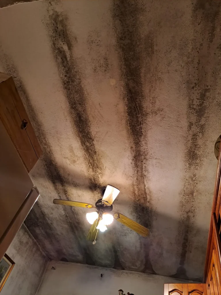 Muffa sul soffitto a contatto con travi non isolate - condensa formatasi soltanto dove più freddo